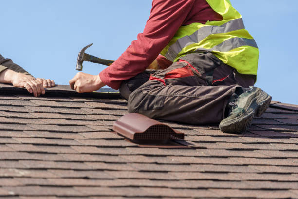 Best Roof Leak Repair  in Fairfax, MN