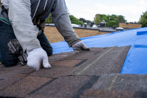 Best Flat Roof Repair Services  in Fairfax, MN