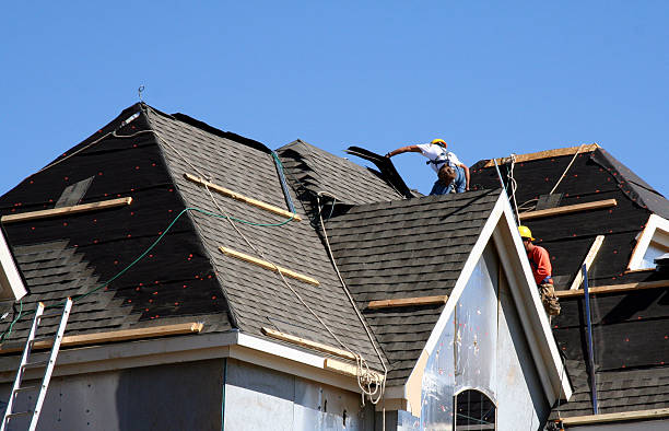 Best Roof Leak Repair  in Fairfax, MN