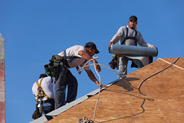 Best Best Roofing Contractors  in Fairfax, MN