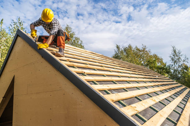 Best Roof Maintenance Services  in Fairfax, MN