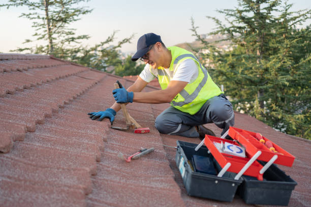 Best Roof Restoration Services  in Fairfax, MN