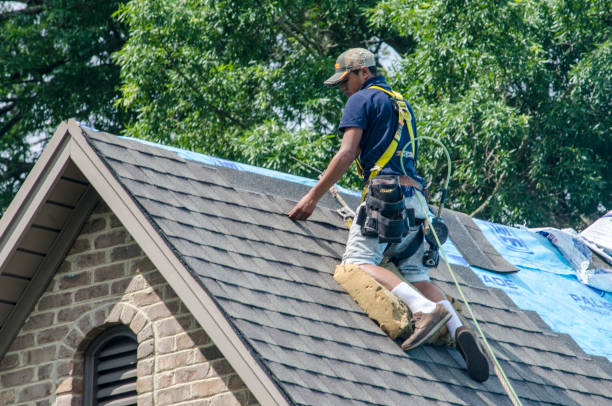 Best Residential Roof Replacement  in Fairfax, MN